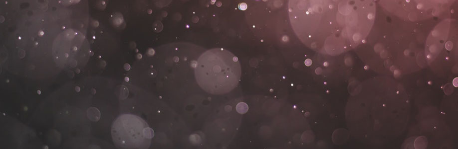 Sandra Sieg Cover Image